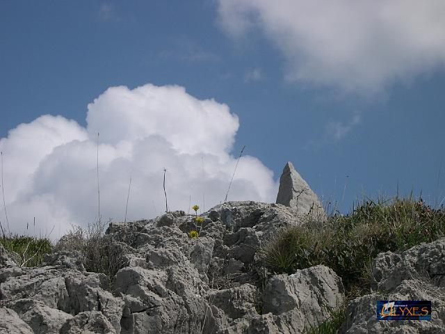 punta grigia.JPG